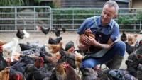 Externer link zur Osnabrücker Zeitung - Warum der Küchenchef der Waldschänke mehr als 300 Hühner hält